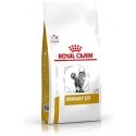 Royal Canin nuo struvitinių akmenų susidarymo Cat urinary . Svoris - 1,5kg. Royal Canin nuo struvitinių akmenų susidarymo Cat urinary . Svoris - 1,5kg.