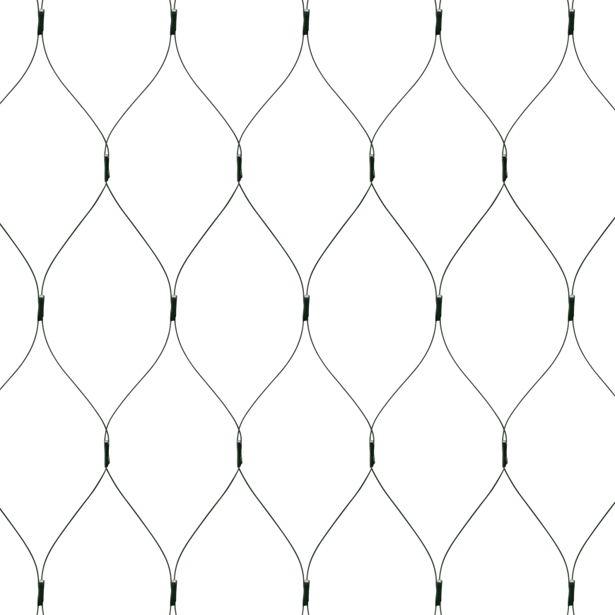 Outdoor Rebel lights - network. – 3