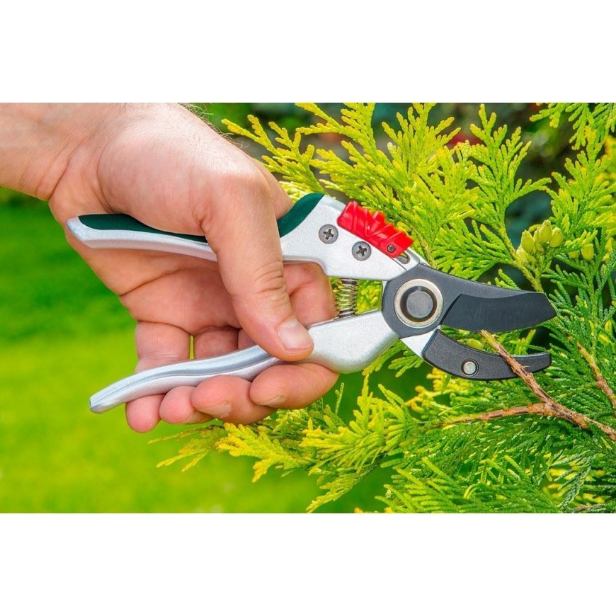 Verto 15G207 Anvil Secateurs – 5