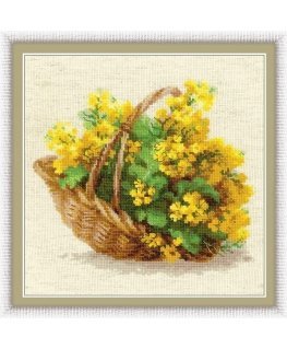 Uab 039039 Riolis039039 Yellow rapeseed 1502