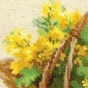 Uab 039039 Riolis039039 Yellow rapeseed 1502