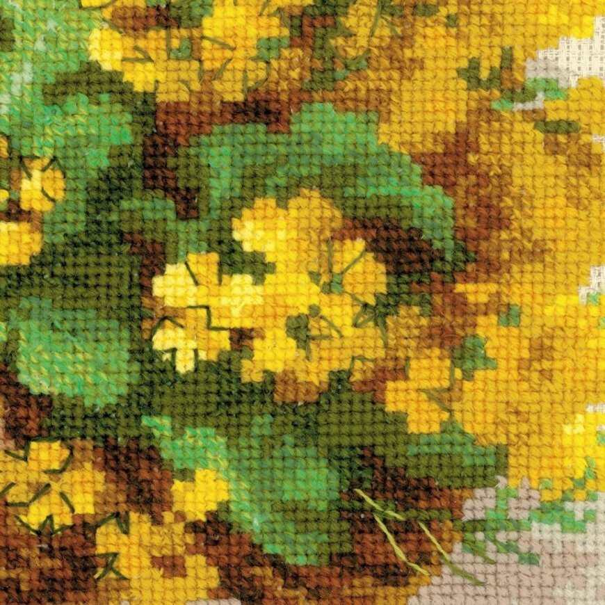 Uab 039039 Riolis039039 Yellow rapeseed 1502 – 3