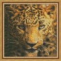 Beldizart Diamond painting set Leopard portrait 30х30 cm AZ-1400 Beldizart Diamond painting set Leopard portrait 30х30 cm AZ-1400