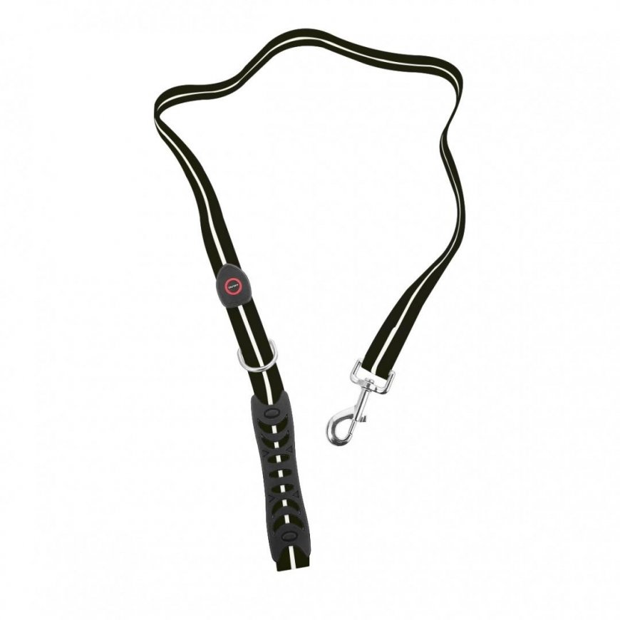 Media-Tech Colored LED lighted PVC leash for medium and large dogs, blue