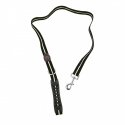 Media-Tech Colored LED lighted PVC leash for medium and large dogs, blue