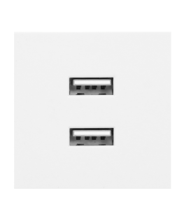 Orno NOEN USB x 2, 45x45 mm dvigubas modulinis prievadas su USB įkrovikliu, 2.1A 5V DC, balta