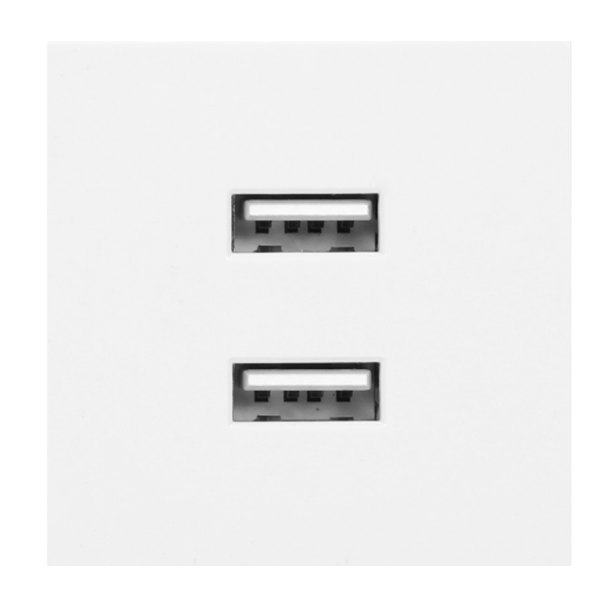 Orno NOEN USB x 2, 45x45