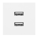 Orno NOEN USB x 2, 45x45 mm dvigubas modulinis prievadas su USB įkrovikliu, 2.1A 5V DC, balta Orno NOEN USB x 2, 45x45 mm dvigubas modulinis prievadas su USB įkrovikliu, 2.1A 5V DC, balta