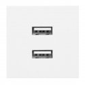 Orno NOEN USB x 2, 45x45 mm dual modular port with USB charger, 2.1A 5V DC, white