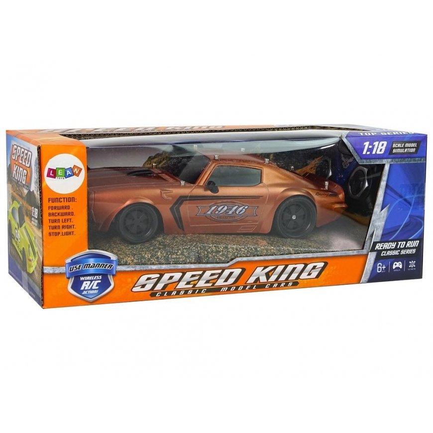 Lean Cars R/C Sports Car 1:18 Brown Champion Pilot – 5