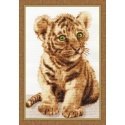 Beldizart (Nutraukta) Ussurian Tiger S/NL043