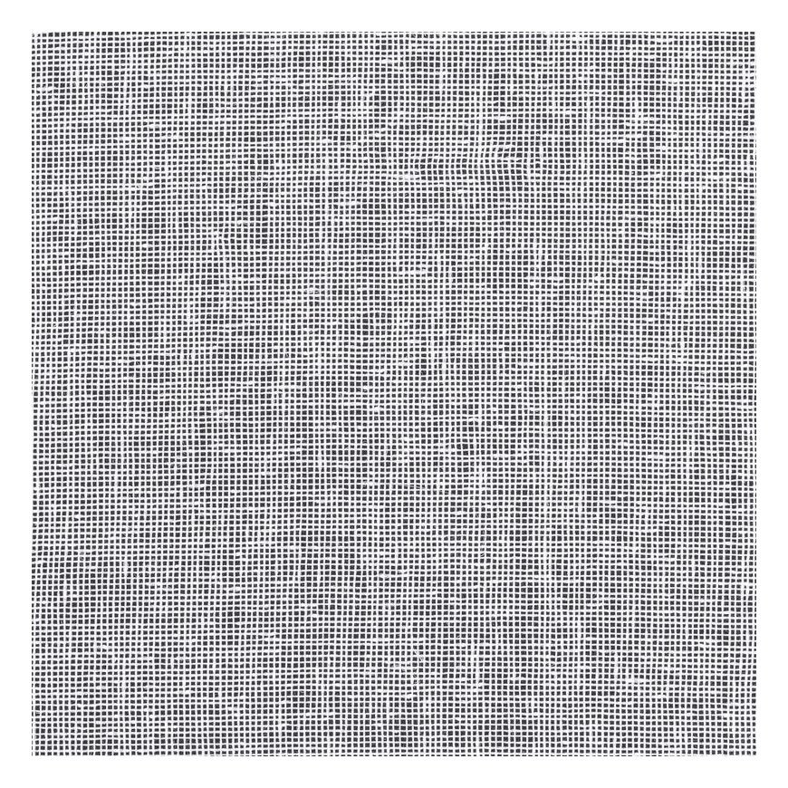 Eurofirany FIR / ELPIDIA / B 350X150 T – 5