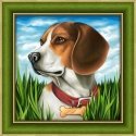 Beldizart Diamond painting set Beagle 25х25 cm AZ-1608