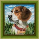Beldizart Deimantinio dažymo rinkinys Beagle 25х25 cm AZ-1608 Beldizart Deimantinio dažymo rinkinys Beagle 25х25 cm AZ-1608