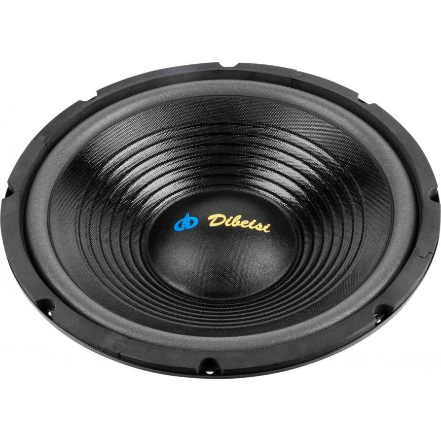 Dibeisi 12 Inch DBS-G1202 8 Ohm Speaker – 4