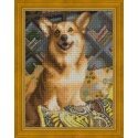 Beldizart Happy Corgi 30x40 cm AZ-1690 Beldizart Happy Corgi 30x40 cm AZ-1690