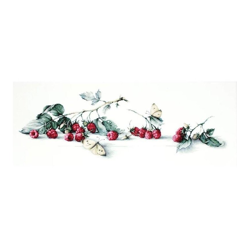 Luca S luca S Raspberry with
