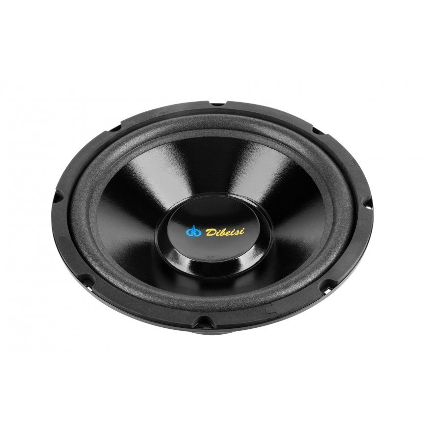 Dibeisi 10" DBS-G1001 8 ohm speaker