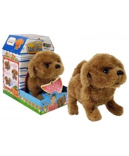Lean Cars Interaktyvi „Puppy Baterija“ valdoma „Brown Walks“ juda uodegos garsu