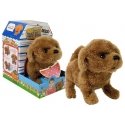 Lean Cars Interactive Puppy Battery operated Brown Walks move with the sound of the tail Lean Cars Interactive Puppy Battery operated Brown Walks move with the sound of the tail