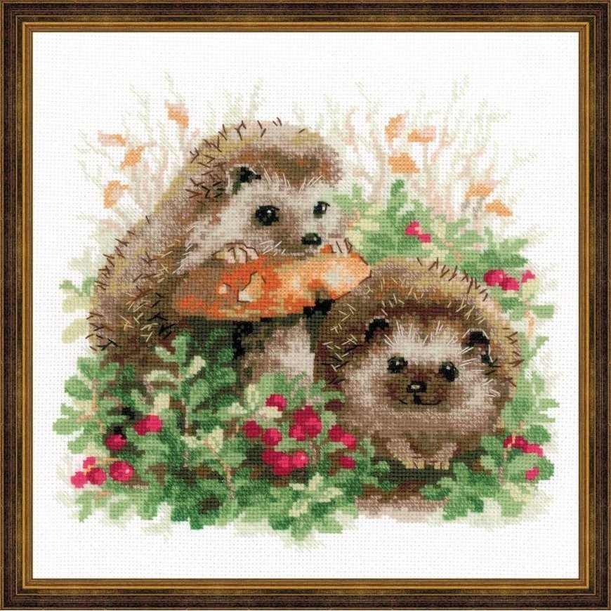 Uab 039039Riolis039039 Uab 039039Riolis039039 Hedgehogs in
