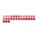 Chanel Rouge Coco Flash Lūpdažis Moterims 3 g