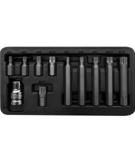 Proline Pro-Line 3/8 "Spline M5-M12 bitų rinkinys, 11 dalių (10744)