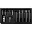 Proline Pro-Line 3/8 "Spline M5-M12 bitų rinkinys, 11 dalių (10744) Proline Pro-Line 3/8 "Spline M5-M12 bitų rinkinys, 11 dalių (10744)
