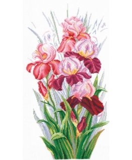 Beldizart Iris Triumph SANT-14