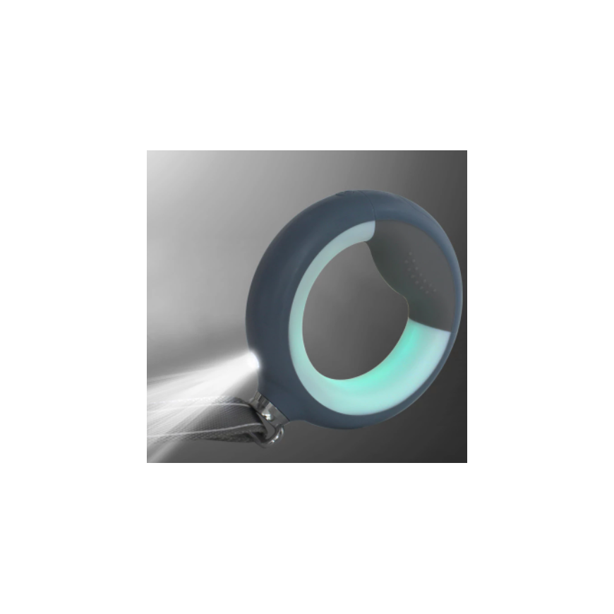 Doggy Village LUMINOUS Leash - Strong 3-in-1 Leash with LED Flashlight, Color Handle Light and Toile – 4