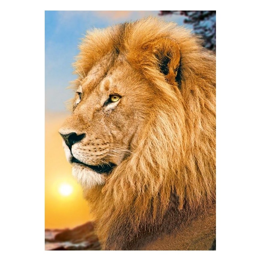 Beldizart Liūtas karalius 27*38 cm WD070