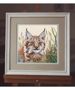 Beldizart Lynx S1407