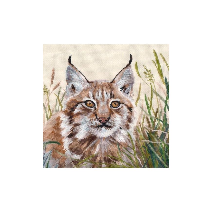 Beldizart Lynx S1407 – 2