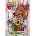 Beldizart Florist SNV-677
