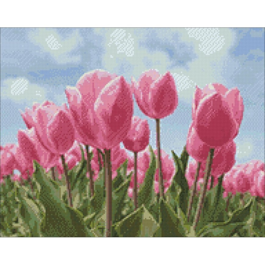 Beldizart (PARDAVIMAS) Dangus ir tulpės 48*38 cm WD2301 – 2