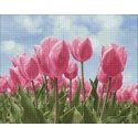 Beldizart (PARDAVIMAS) Dangus ir tulpės 48*38 cm WD2301