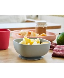 BEABA SILICONE BOWL WITH BOTTOM, Gray