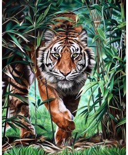 Beldizart Dangerous tiger 40 x 50 cm WD310
