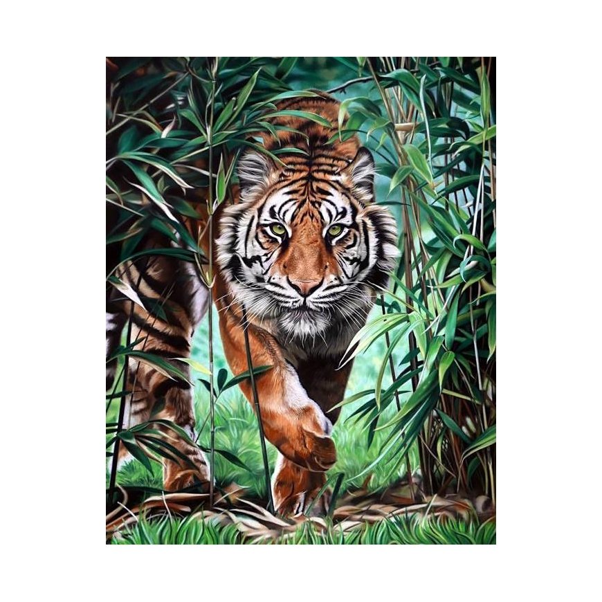 Beldizart Dangerous tiger 40 x 50