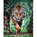 Beldizart Dangerous tiger 40 x 50 cm WD310 Beldizart Dangerous tiger 40 x 50 cm WD310
