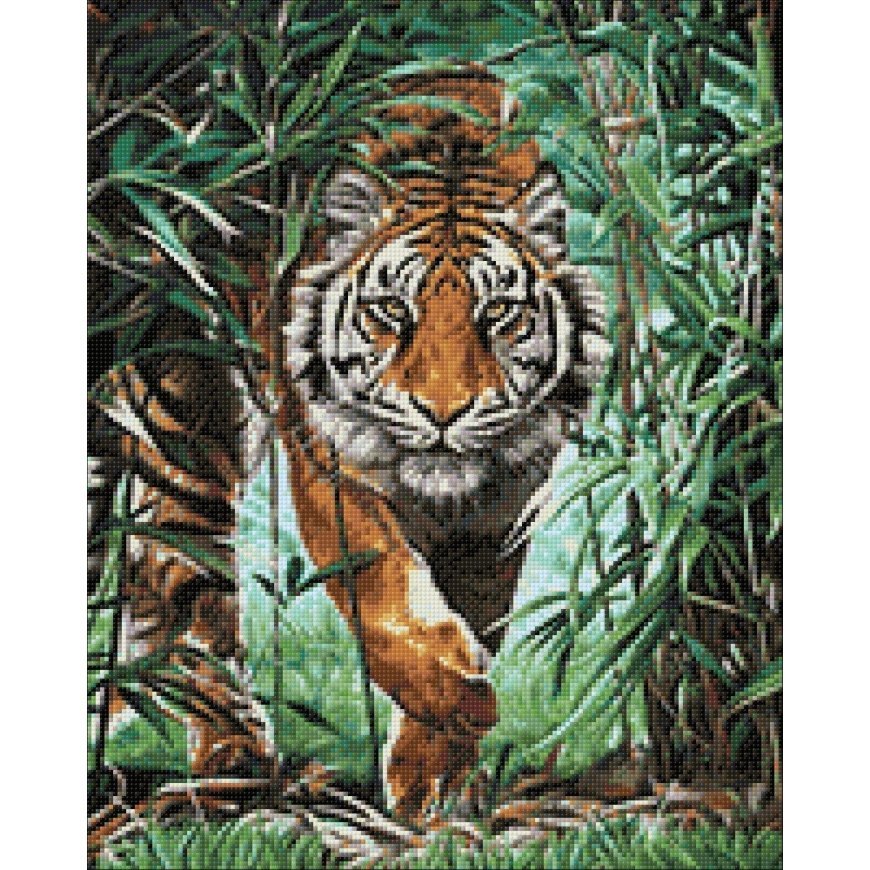 Beldizart Dangerous tiger 40 x 50 cm WD310 – 3