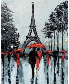 Beldizart Paris in the rain 38*48 cm WD156
