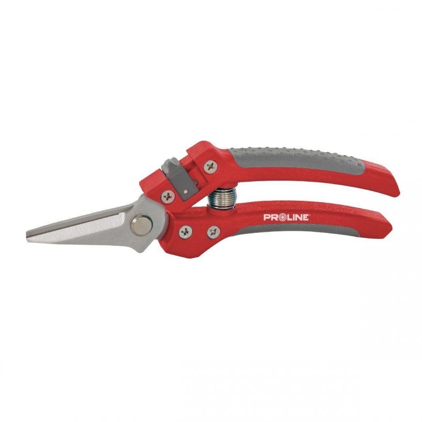 Proline Pro-Line scissors PREMIUM FLOWER, INOX