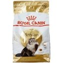Royal Canin Persian Adult 4kg