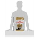 Royal Canin Persian Adult 4kg
