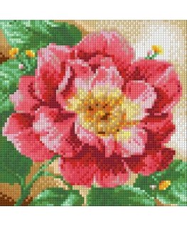 Beldizart Diamond Painting Kit Flowering Peonies 20х20 cm AZ-1444