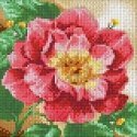 Beldizart Deimantinės tapybos rinkinys Žydintys bijūnai 20х20 cm AZ-1444 Beldizart Deimantinės tapybos rinkinys Žydintys bijūnai 20х20 cm AZ-1444
