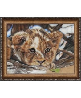 Beldizart Diamond painting kit Lion 40x30 cm AZ-1524