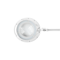 Microscope Rebel Table lamp with magnifying glass 5D 10W 6500K Microscope Rebel Table lamp with magnifying glass 5D 10W 6500K