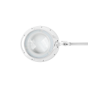 Microscope Rebel Table lamp with magnifying glass 5D 10W 6500K Microscope Rebel Table lamp with magnifying glass 5D 10W 6500K